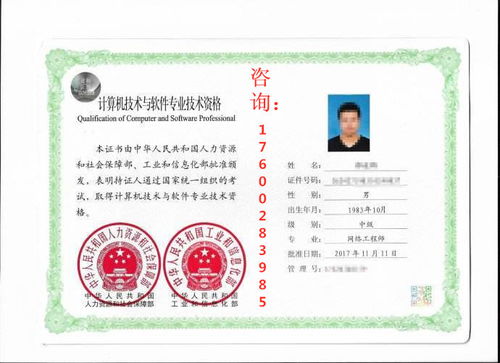 计算机网络工程师中级 软考中高含金量与低门槛的黄金选择