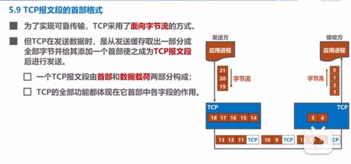 TCP报文段首部详解与计算机网络工程设计中的关键考量