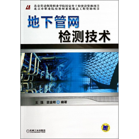 地下管网检测技术在计算机网络工程设计中的应用与优化——以邮乐官方网站为例
